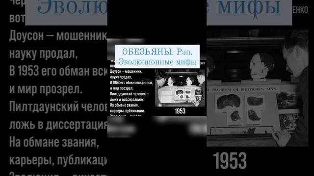 Обезьяны. Рэп. Эволюционные мифы смотреть онлайн