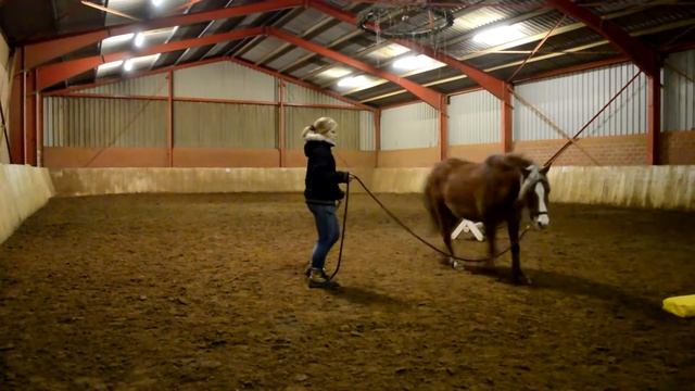 Merlin (Bodenarbeit,auftrensen und ein bisschen reiten) смотреть онлайн