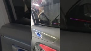 Чанган CS55 плюс. Контурная подсветка.