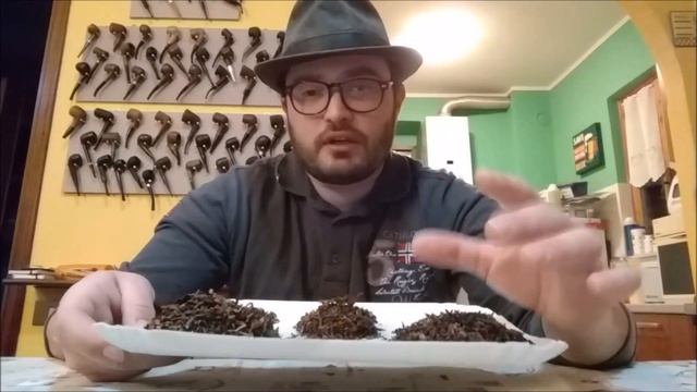 Prova di Mixture Arabica, Vintage, Italia смотреть онлайн