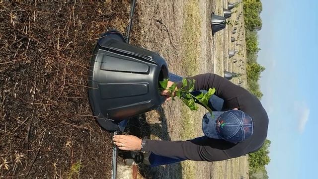 Treetpee installation.. смотреть онлайн