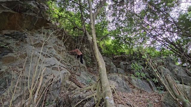 I went up the mountain to find Lambo the monkey for my grandmother смотреть онлайн