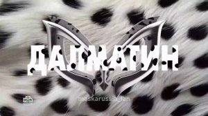 анонс масок 6 сезона маски