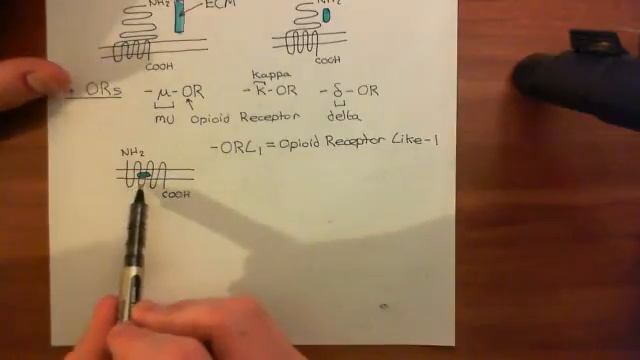 The Opioid Receptors Part 2 смотреть онлайн