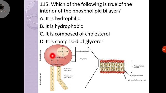 Exam 1 Part 5: LET Review (Biological Science) смотреть онлайн