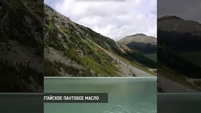 17 декабря 2017 г. смотреть онлайн
