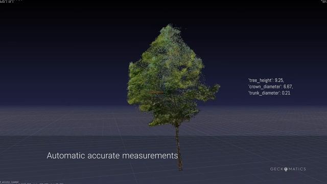 Geckomatics Tree Mapping 2 смотреть онлайн
