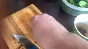 Как вырастить оливу из косточки, проращивание косточек оливы