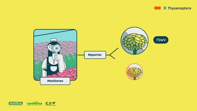 Biología y manejo integrado de trips en especies ornamentales de corte смотреть онлайн