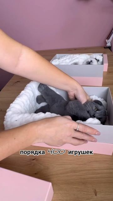 Истории моих игрушек 😍 какую вам историю рассказать подробнее?