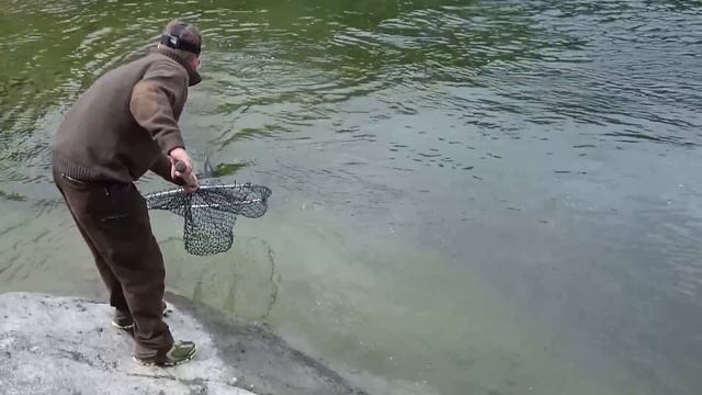 Лосось - "HAWK" Lures handmade,hand testing -made of wood - aleksandr.coliucii@gmail.com смотреть онлайн