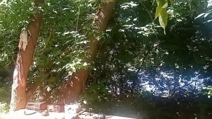 Работа на антенну Мясникова