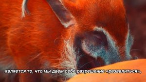 "Сила". 23 февраля. Мелоди Битти. Ежедневник для созависимых.