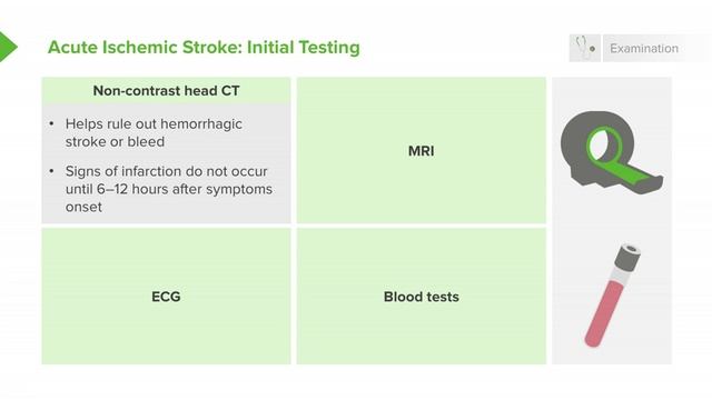 1.02 Acute Ischemic Stroke- Diagnosis смотреть онлайн