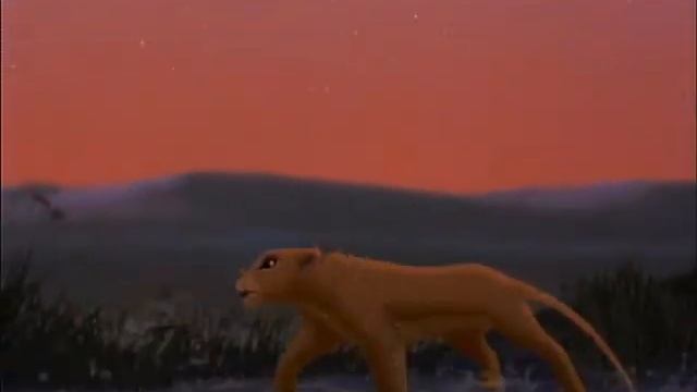 Kiara & Zira All The Things She Said
