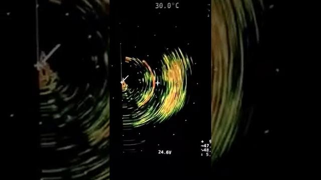 Testing our Sonar JMC DSL 1000. Daghan tamban tuloy mga karockstar fishing. смотреть онлайн