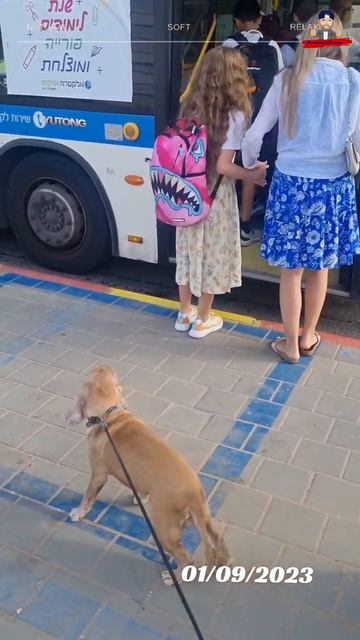 1 Сентября / В Школу / Поздравляю всех родителей 😉 #shorts смотреть онлайн