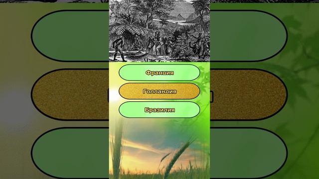 Викторина на общие знания и эрудицию №9 / Тест на эрудицию #викторина #тест #эрудиция #квиз #quiz смотреть онлайн