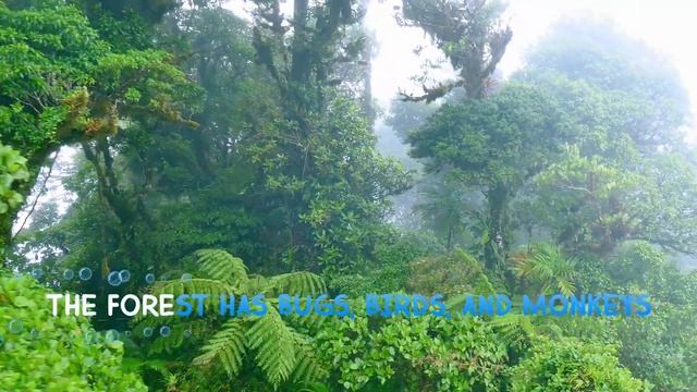 The Biodiversity SONG | Science for Kids | Grades K-2 смотреть онлайн