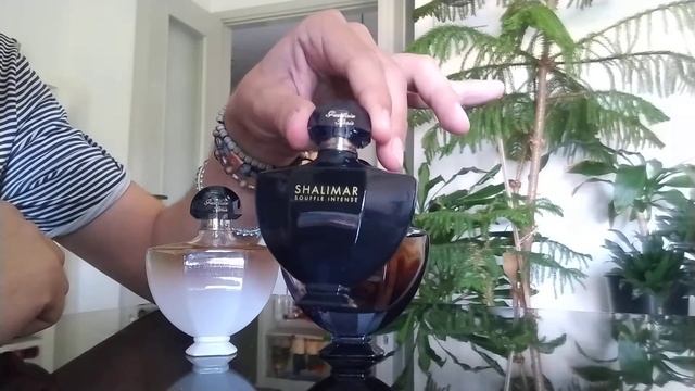 Shalimar souffle de parfum guerlain смотреть онлайн