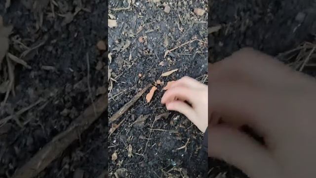 делаю суп 🫶 смотреть онлайн