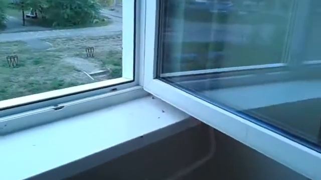 video 2013 09 24 17 13 30 смотреть онлайн