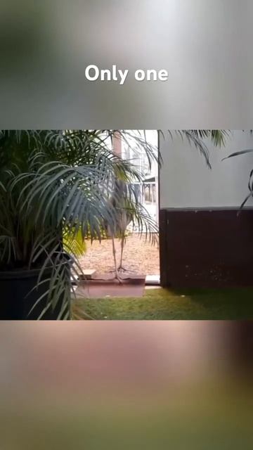 May 28, 2024 смотреть онлайн