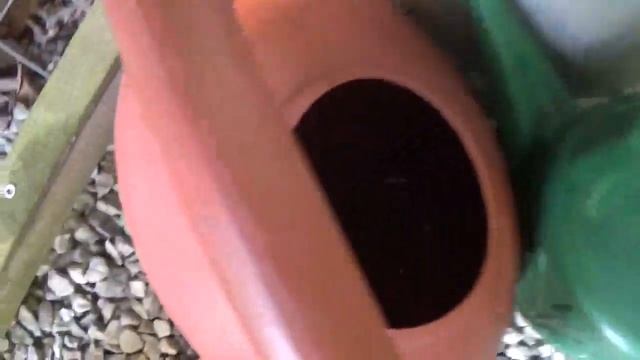 Green House & Other tips coming soon! смотреть онлайн