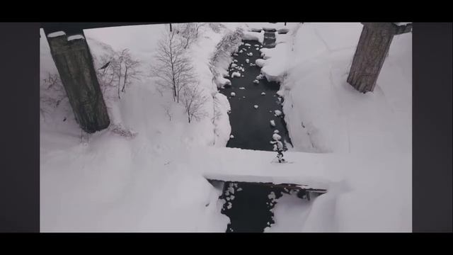 “In The Meantime” A Tanner Hall Project (Трюки на горных лыжах)