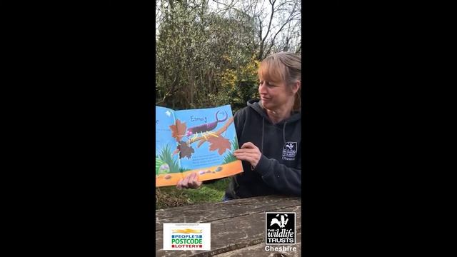 Mad About Mini Beasts! - Nature Tots storytime with Robyn смотреть онлайн