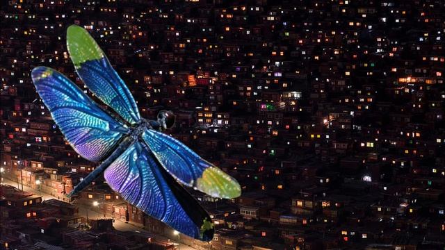 Dragonfly In The City Of Wizards смотреть онлайн