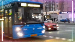 синие автобусы и трамваи #синие #синийавтобус#трамвай#автобус