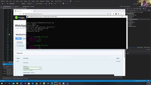 HttpRepl for testing REST APIs смотреть онлайн