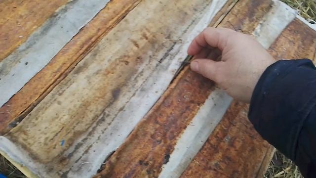 Зимовка пчёл Нуклеусы на 300 смотреть онлайн