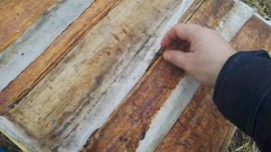 Зимовка пчёл Нуклеусы на 300