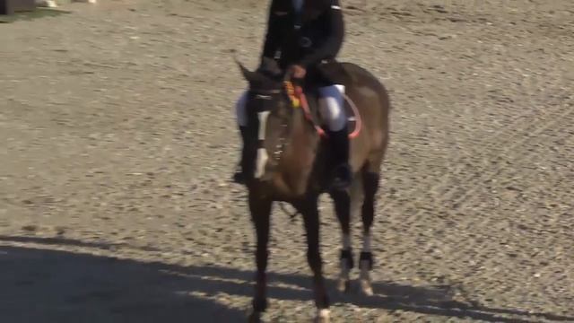 Siegerehrung - Bronze 3 - 1.30m - Valencia (7.11.2014) смотреть онлайн