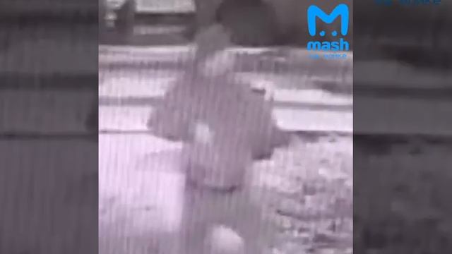 В Петербурге трое грабителей с большим трудом отобрали сумку у девушки смотреть онлайн