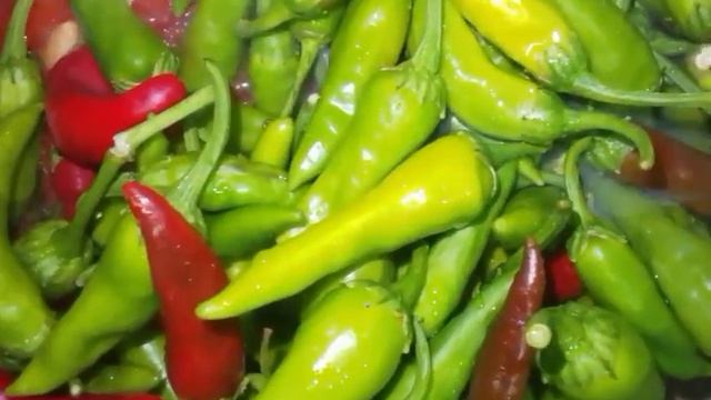 Дунганский калампирни бонкаларга беркитиш. 🌶🌶🌶🍅🍅🍅🧅🧅🧅 смотреть онлайн