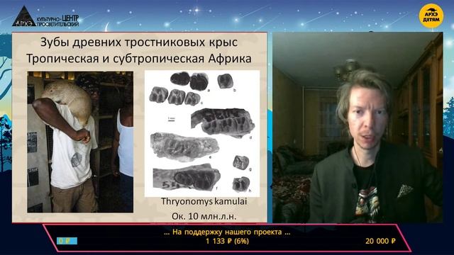 Занятие "Палеомышь и заяц-неандерталец" кружка "Динозавры и не только" с Ярославом Поповым смотреть онлайн