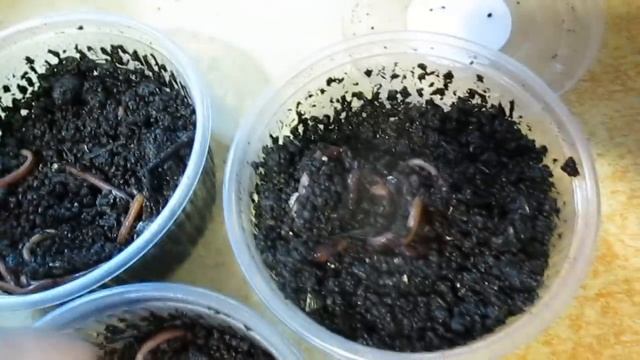 Возврат товара. Бывает и такое . смотреть онлайн