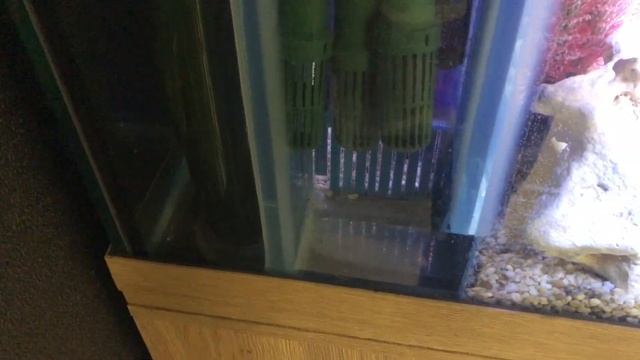 Аквариум 1000 литров морской смотреть онлайн