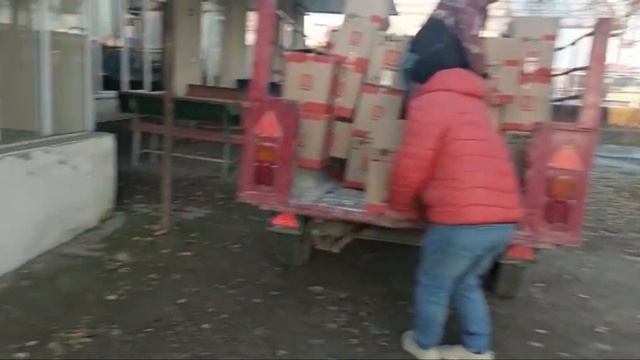 31 декабря 2022 г. смотреть онлайн