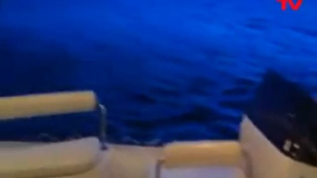 Number_One_Блог_Вечер в Каннах с Димой Биланом смотреть онлайн