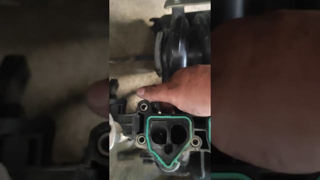 Nagwawild na Foton Gratour V33 смотреть онлайн
