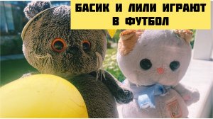 Басик и Лили играют в футбол