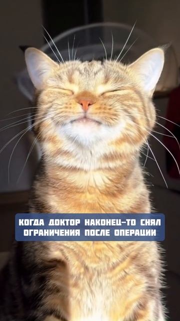 Ограничения в послеоперационном периоде