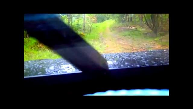 Лососно смотреть онлайн