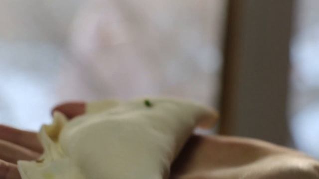 天冷了，烙点韭菜盒子解解馋，再配上小米粥，吃得暖和，嗷嗷香 смотреть онлайн