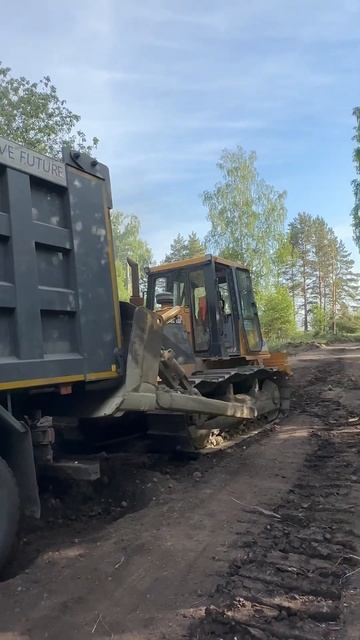 Вытащили Faw смотреть онлайн