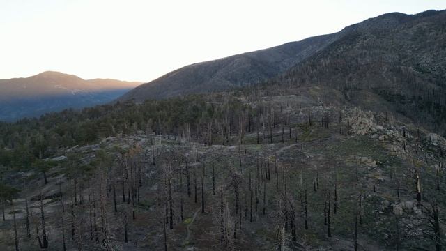 DJI Mini 3 Pro - Manual Flight 3 (watch me almost hit a tree) @ San Bernardino Peak смотреть онлайн